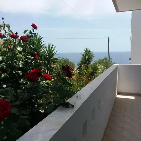Sun Day Apartment *